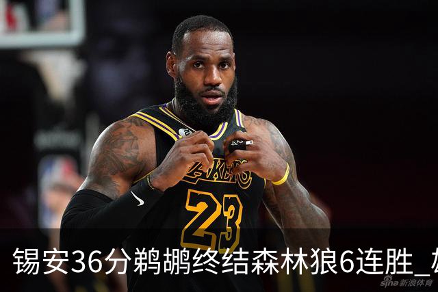 锡安36分鹈鹕终结森林狼6连胜 雄鹿险胜公牛